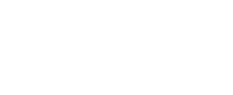 Son Bono